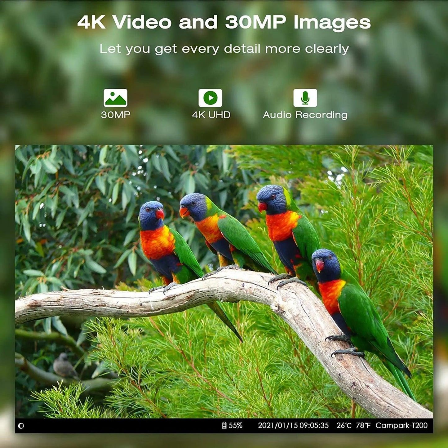 Camera De Chasse HC801PRO 4G 4K 30MP En Direct Et Enregistrement Could - Adriansécurité