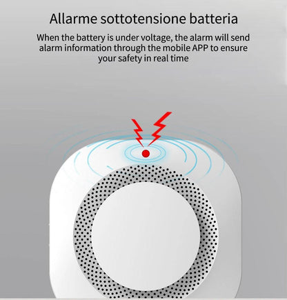 Détecteur De Fumée WIFI - Adriansécurité